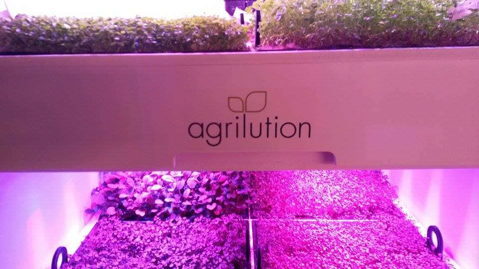 plantCube: Osram steigt bei Agrilution ein