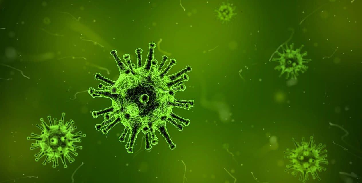 Immunic erhält Forschungsförderung