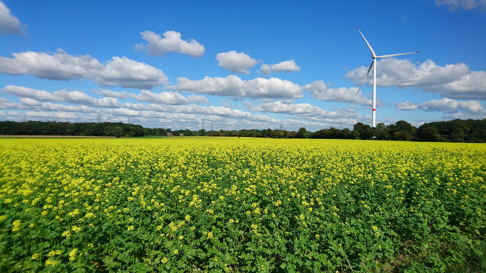 ClimateLaunchpad: Cleantech-Ideen gesucht
