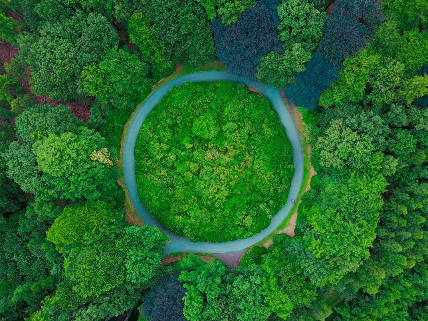 Green Alley Award 2018: Startups aus der Circular Economy gesucht!