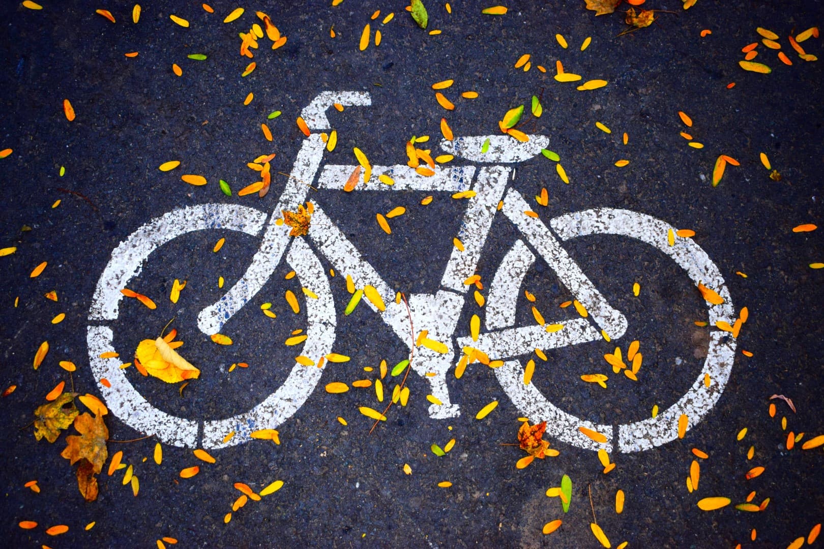 „Ob das für ein ‚Unicorn‘ reicht, werden wir sehen“ — 7 Fragen an… Bravobike