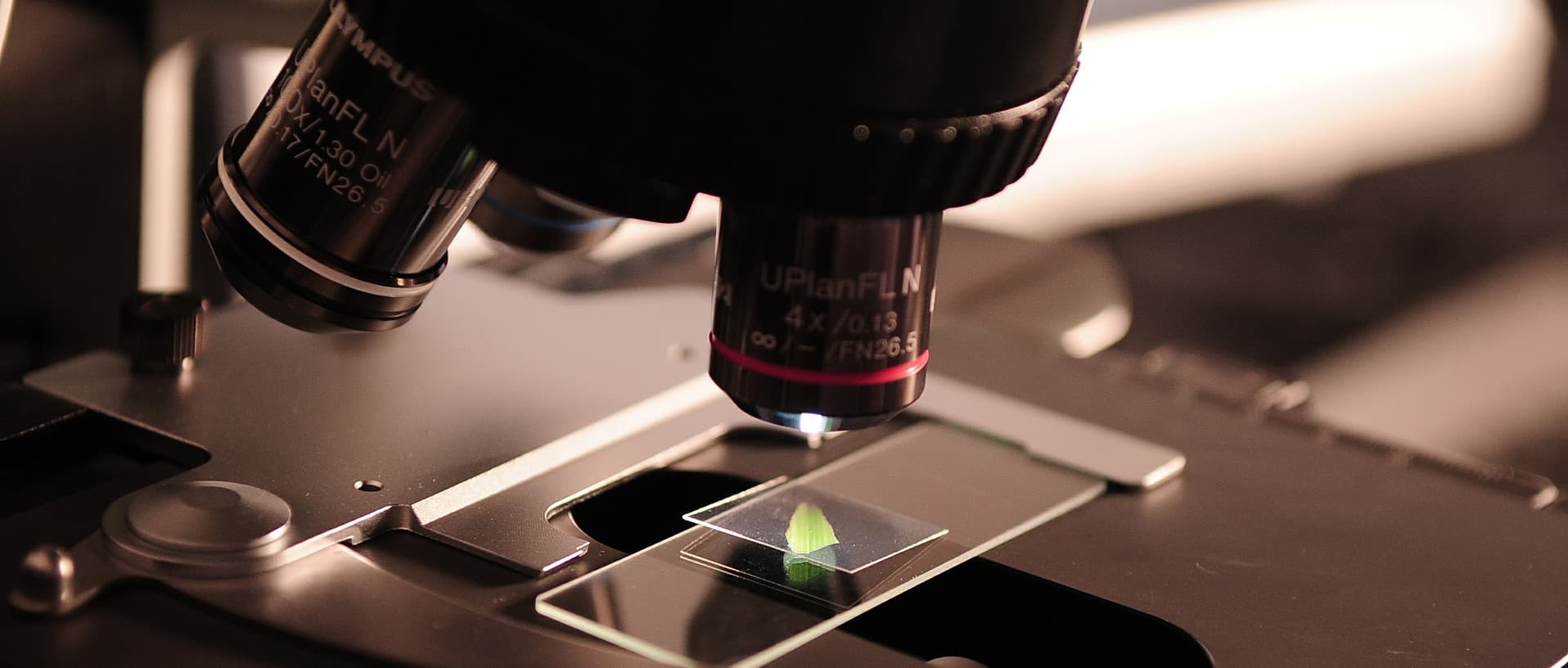 Konferenz sucht Medtech-Startups