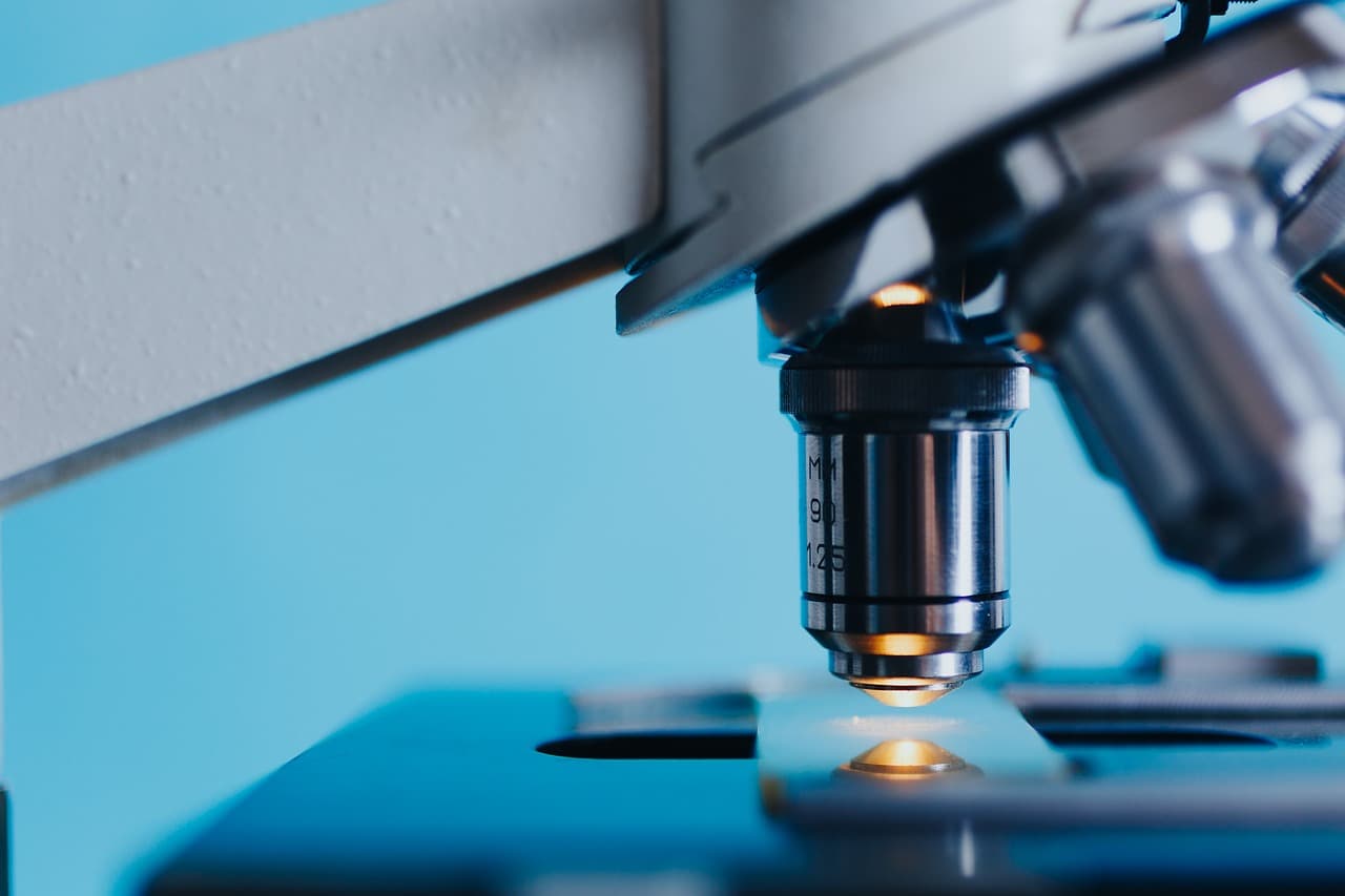 Deutscher Biotechnologie-Report 2019: Weniger Neugründungen als im Vorjahr