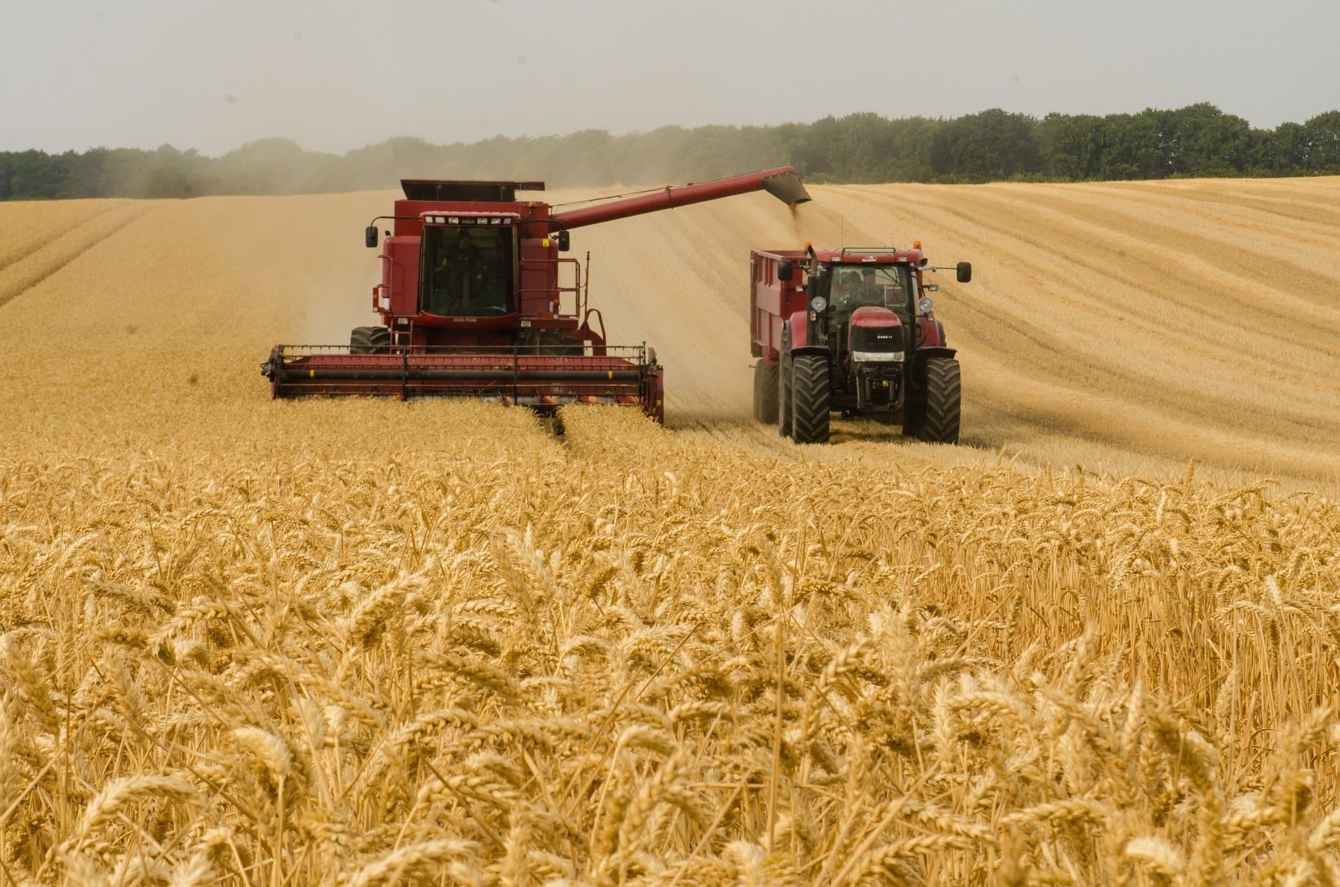 Agtech: Neue Lösungen für die Landwirtschaft