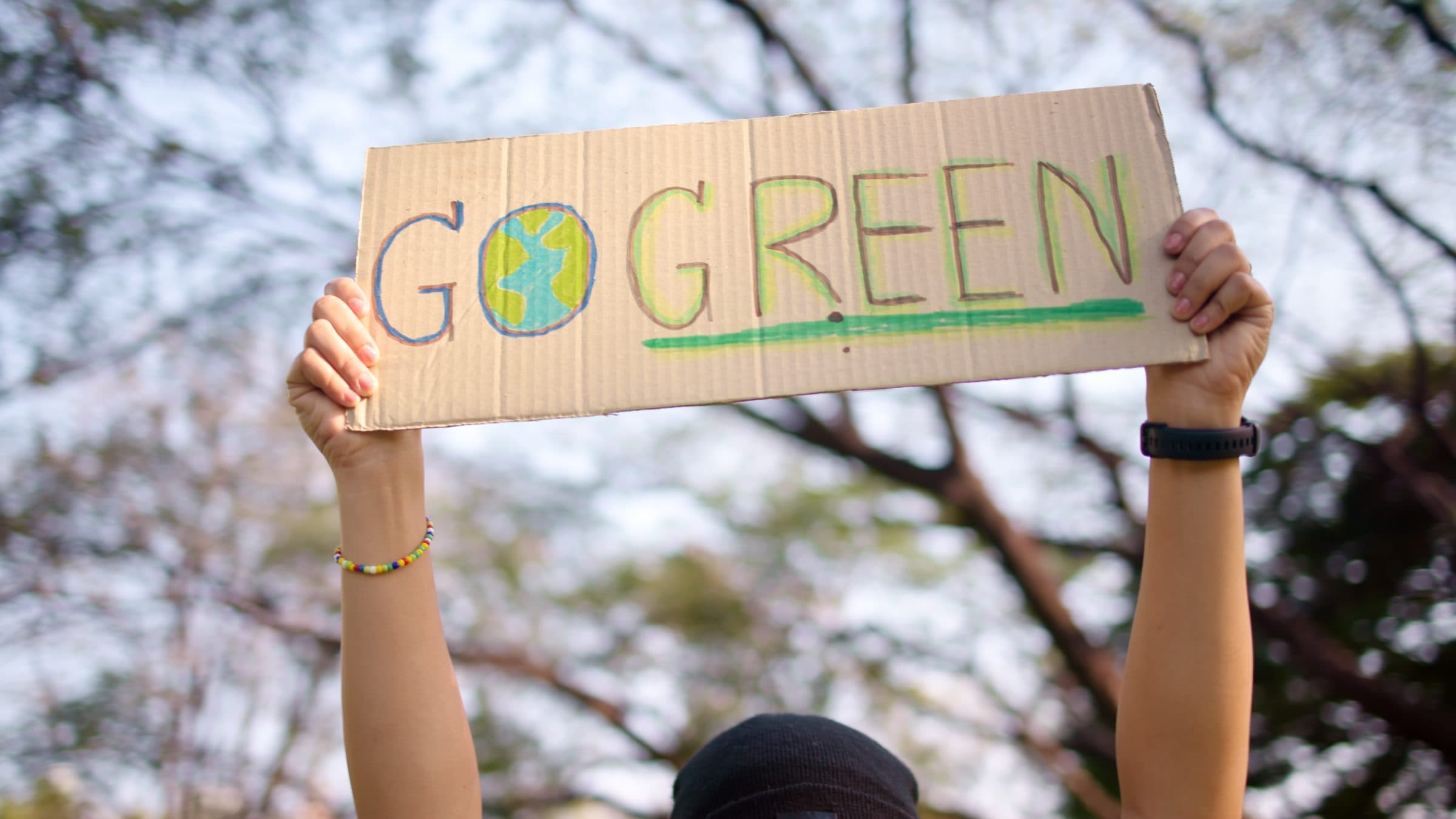 Ideen für den Bayerischen Klimaschutzpreis 2025 einreichen