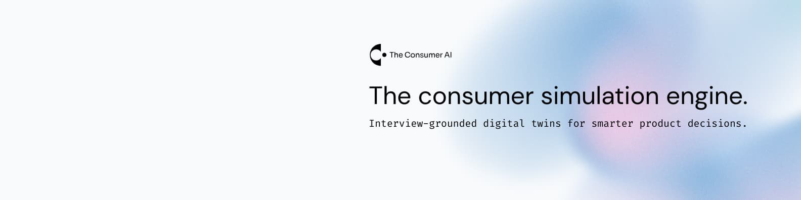 The Consumer AI