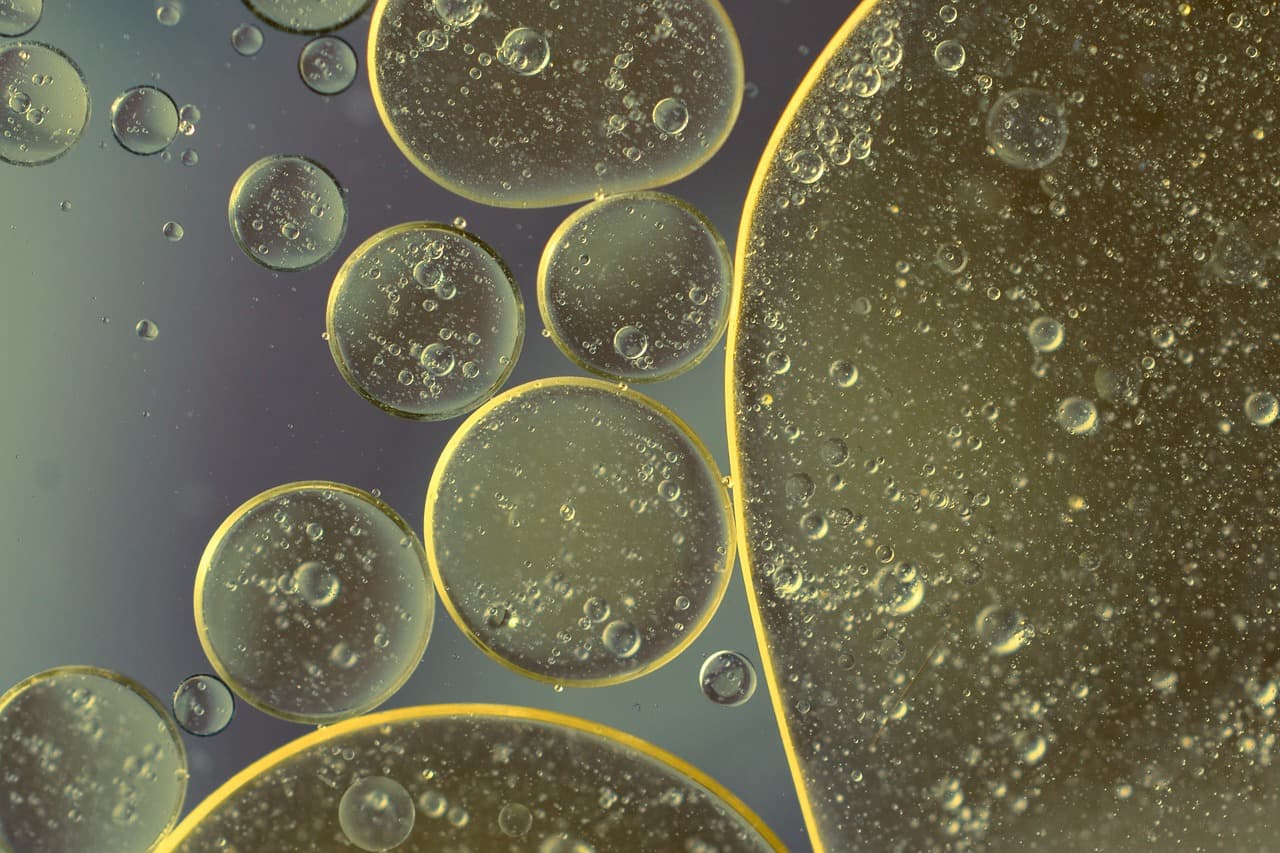 Tubulis Technologies: BioM-Startup belegt zweiten Platz bei EIT Health