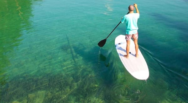 Surfen gehört zum Geschäftsmodell – 7 Fragen an… Tripstix!