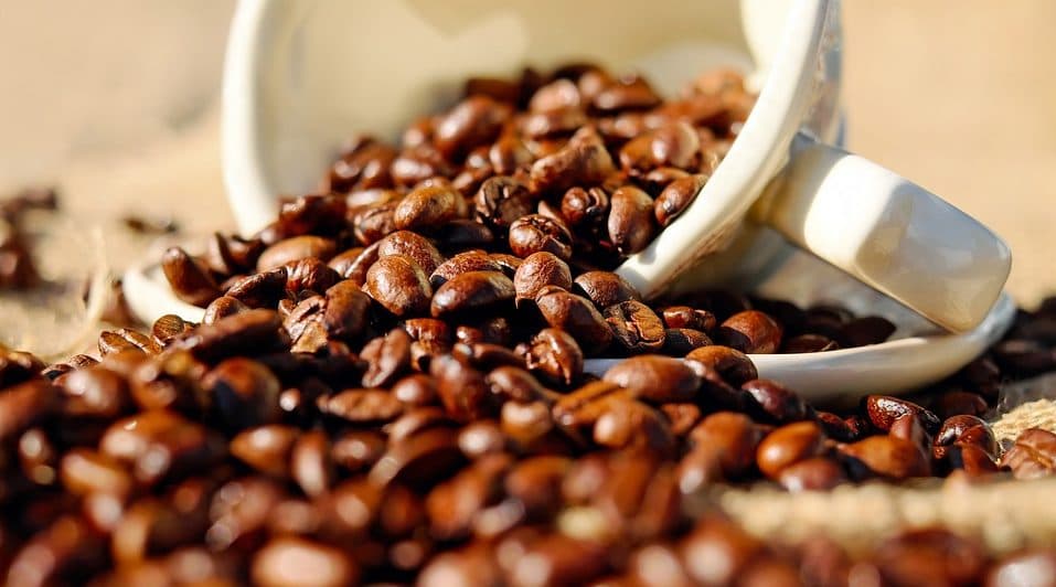 Burda investiert in E-Commerce-Startup Roast Market