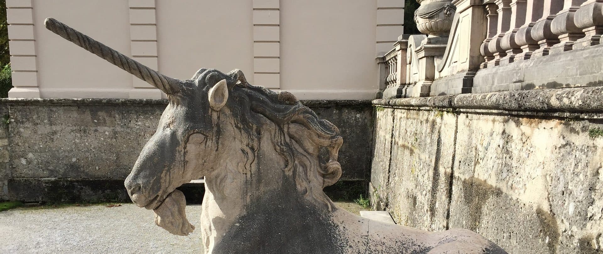 Das sind die kommenden Unicorns