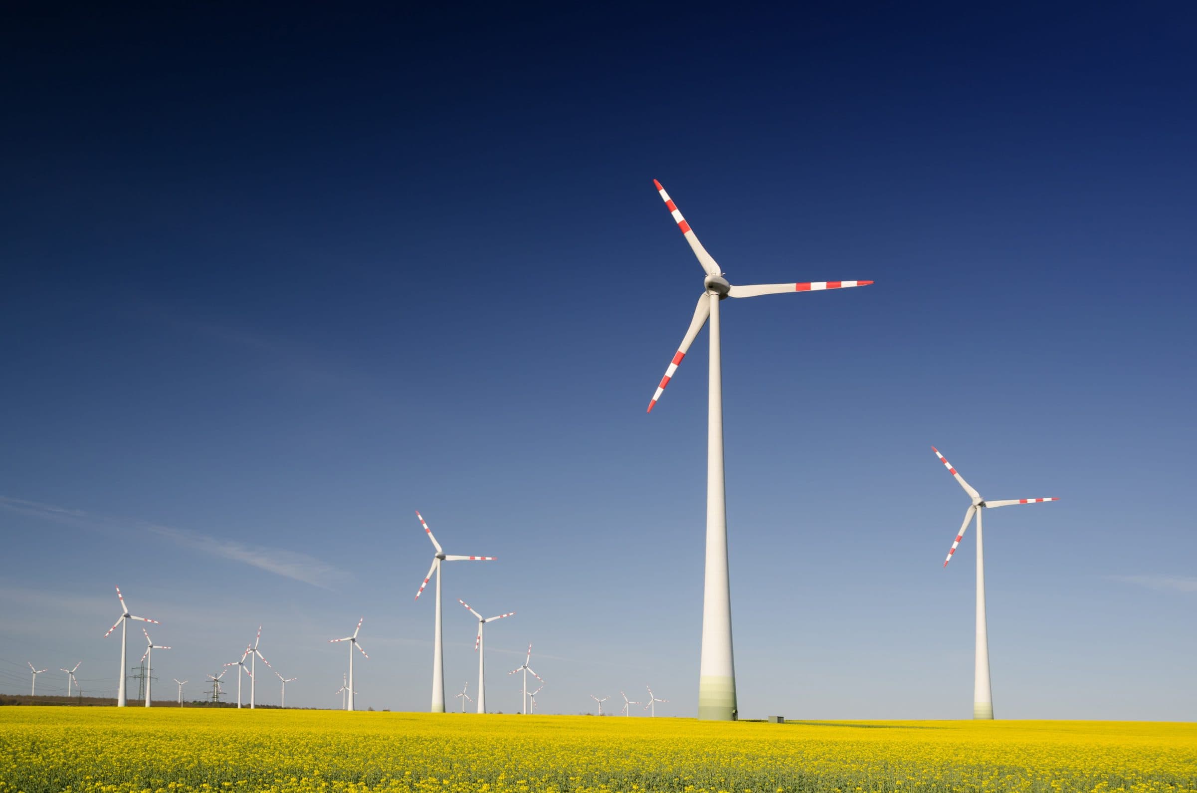 StartGreen Award sucht grüne Startups