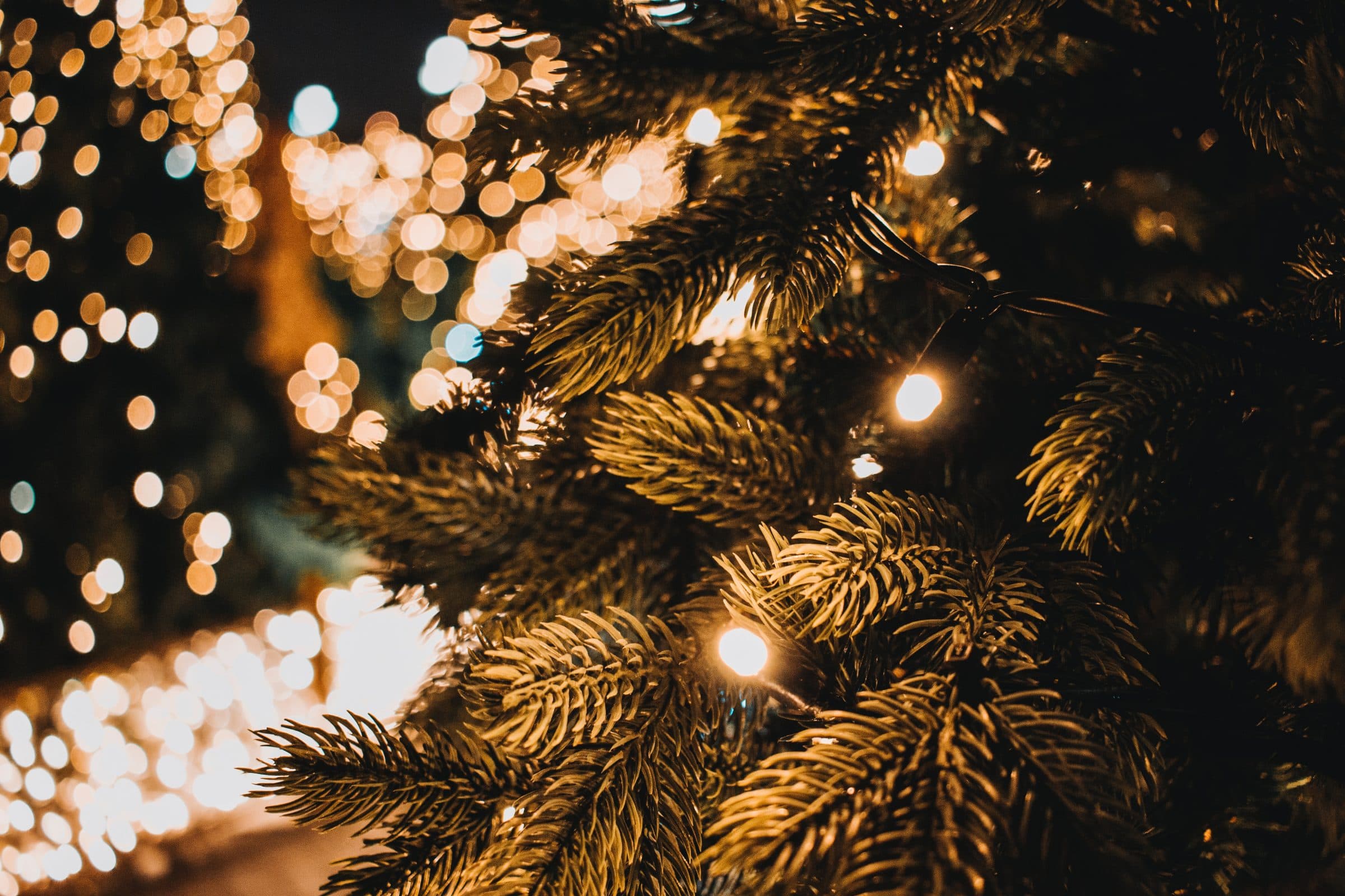 5 Startups, die unter Eurem Weihnachtsbaum landen könnten