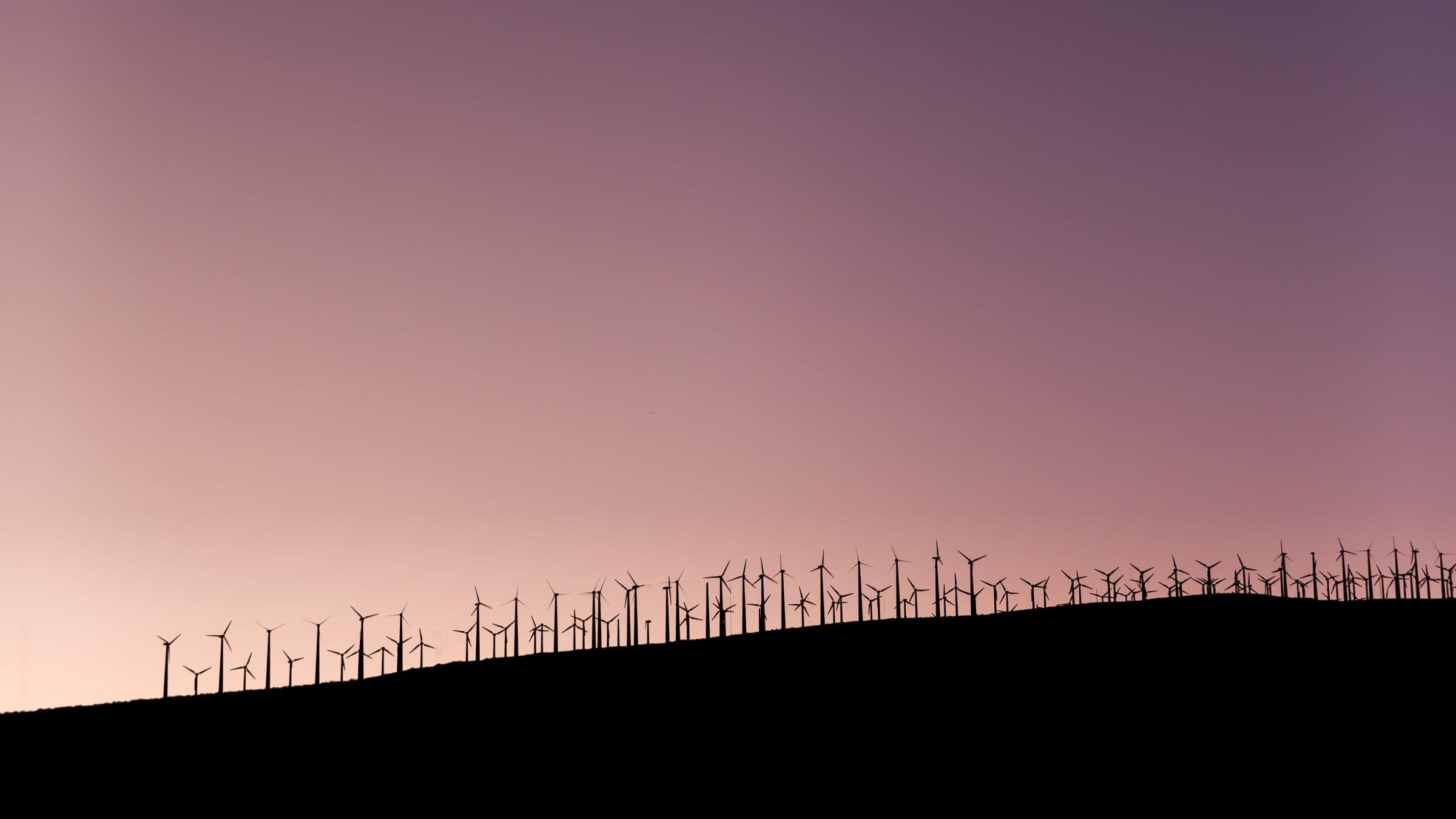 Jetzt Klimaschutz-Unternehmen werden