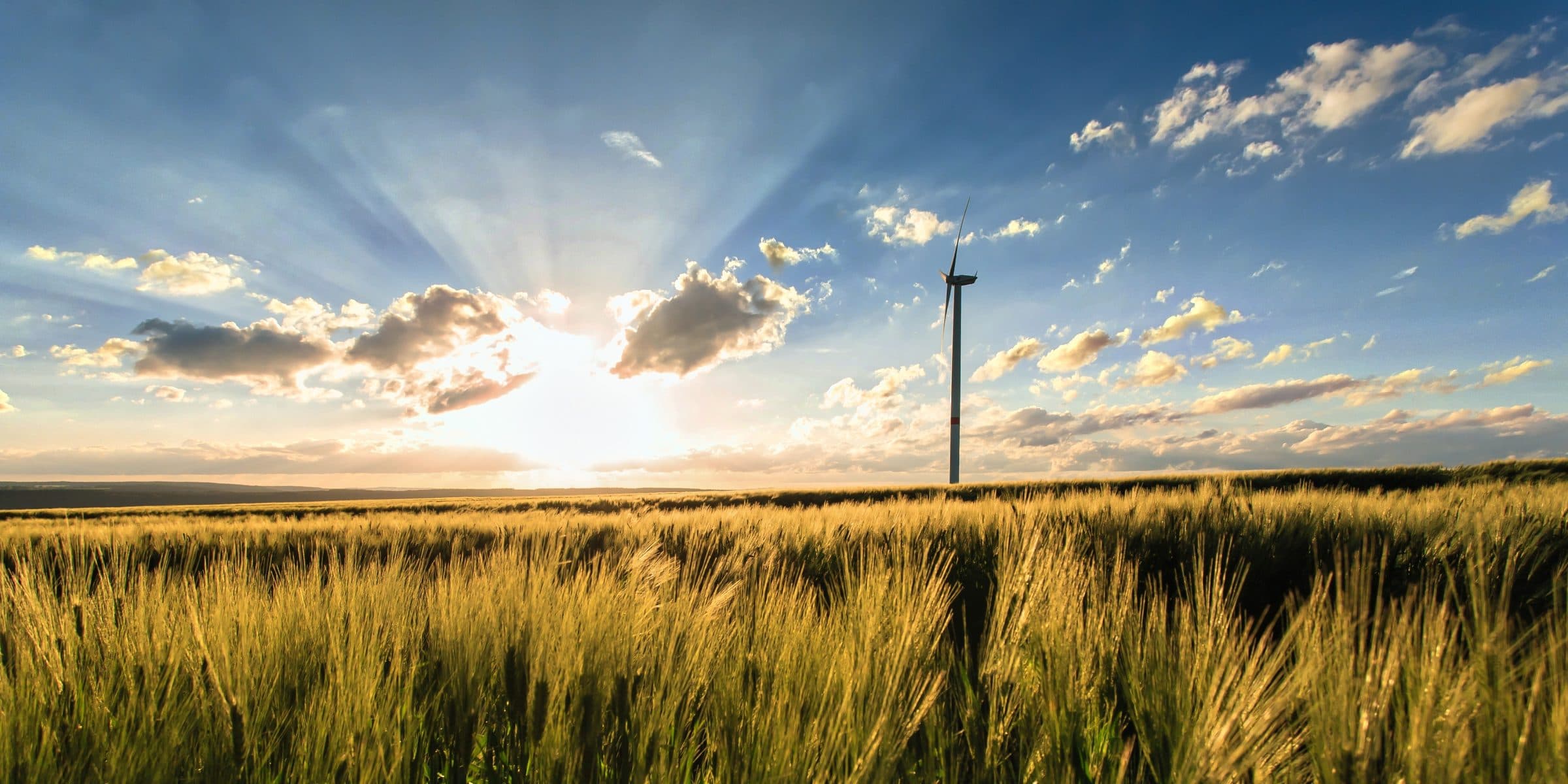 Startups der Green Economy vernachlässigen Kommunikation