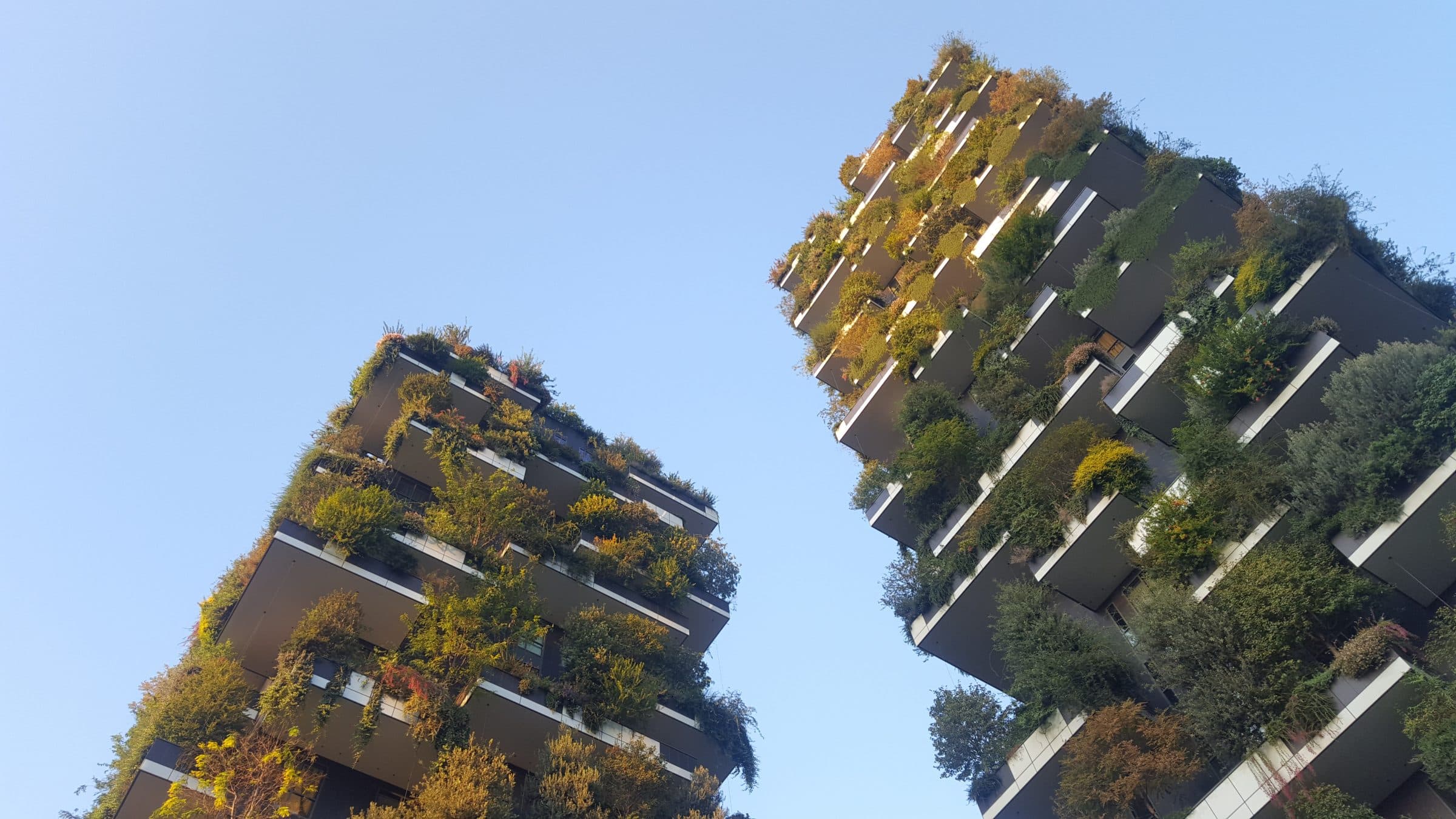 Greentech für urbane Räume