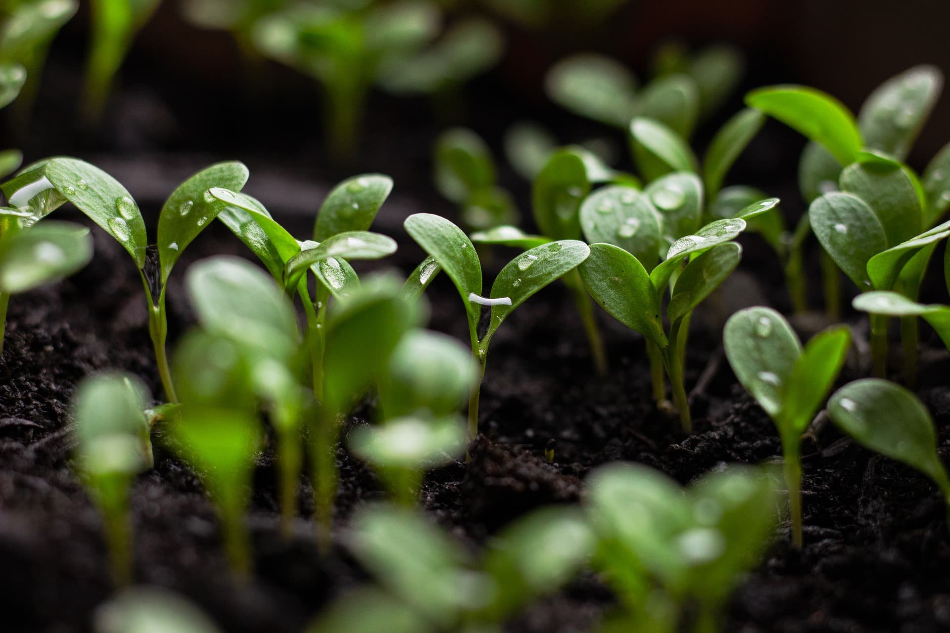Jetzt für den Greentech Venture Award bewerben