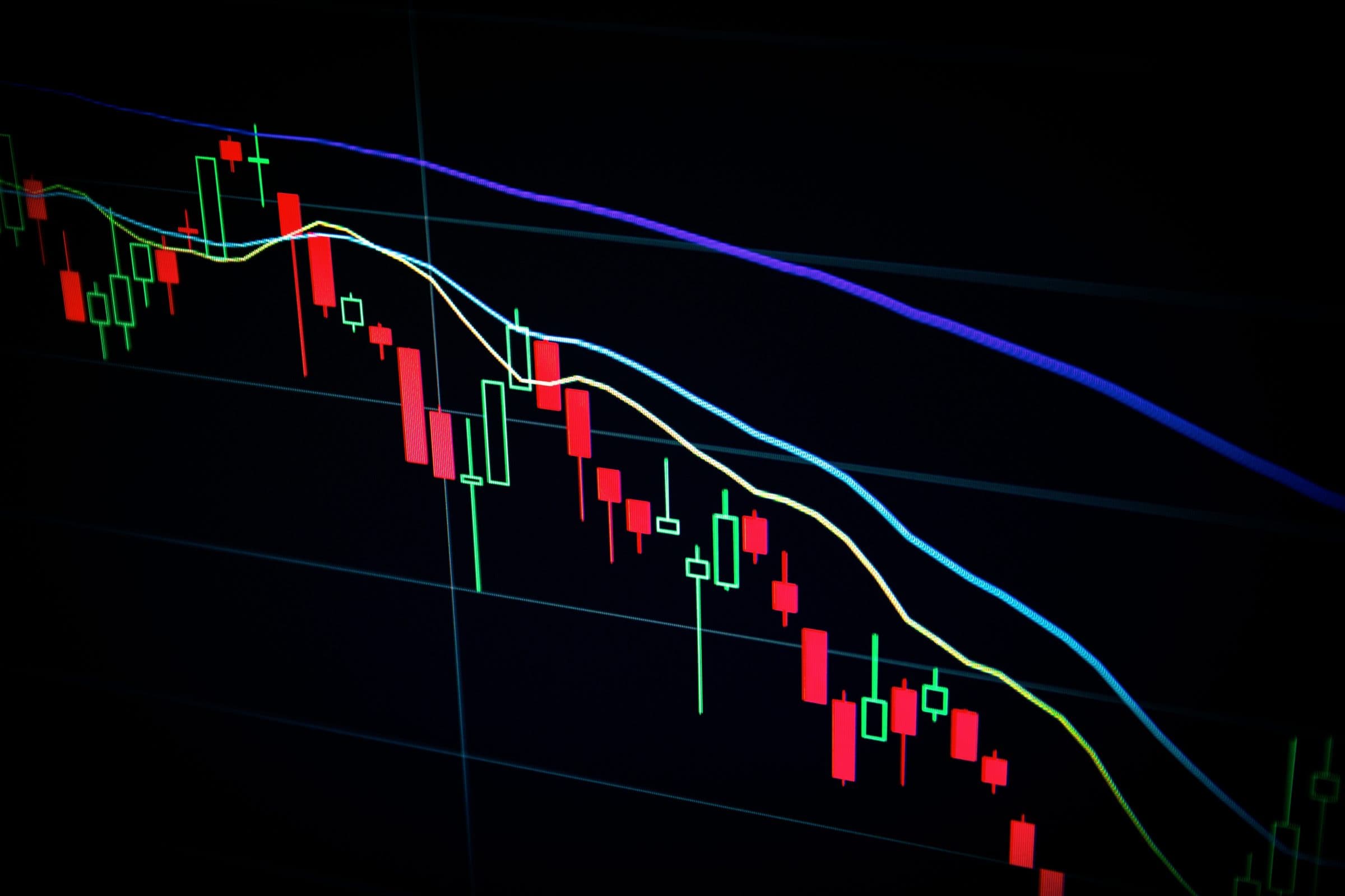 Bitkom-Umfrage: InvestorInnen sind zu zurückhaltend